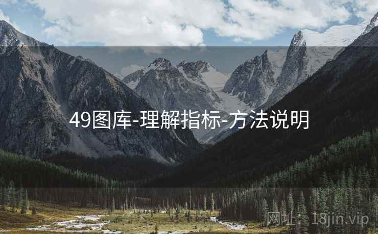 49图库-理解指标-方法说明 49图库-理解指标-方法说明